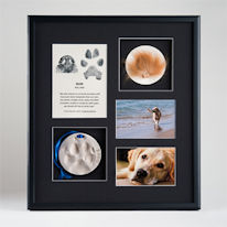 Pet Tribute Framing - $349