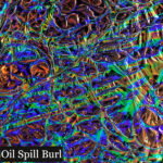 Oil Spil Burl