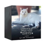 Heaven Sent My Own Angel