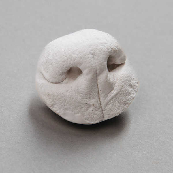 Nose Leather Casting - $89
