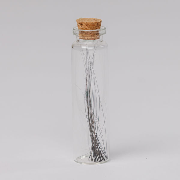 Whiskers in Glass Bottle - $19