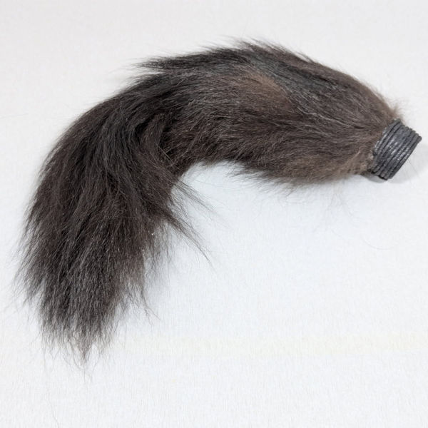 Tail Capture - $119 - $439