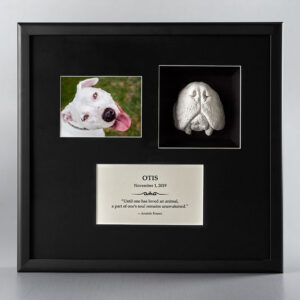 Muzzle Memorial Framing