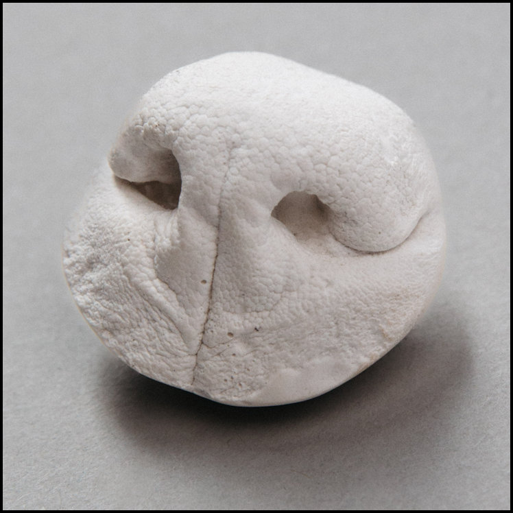 Nose Leather Casting - $79.95 - $139.95