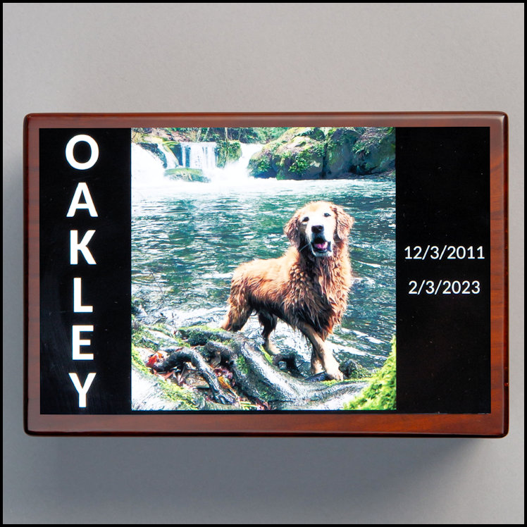Photo Plate - $79.95 (Custom Layout + $29.95)