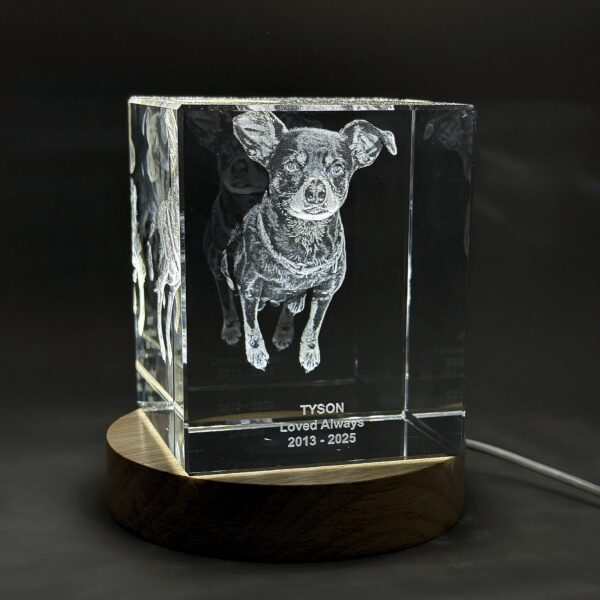 FreezePix 3-D Pet Portrait in Crystal - Radiant Heart