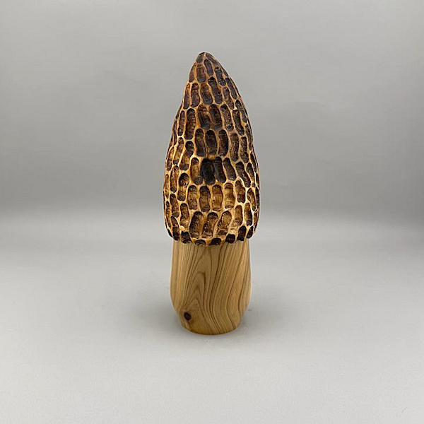 Morel Mushroom Urn #6 - Image 3